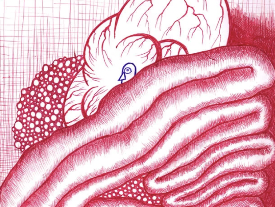 Moby-Dick Week Eight